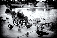 Grandma Helen Holland _ Feeding the ducks_10.27.22-7.jpg