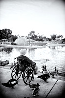 Grandma Helen Holland _ Feeding the ducks_10.27.22-9.jpg