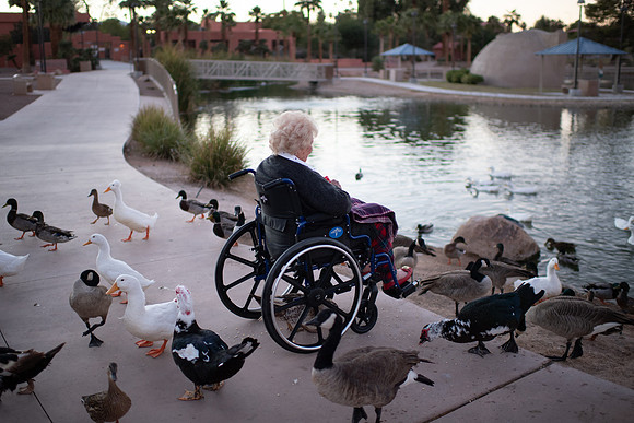 Grandma Helen Holland _ Feeding the ducks_10.27.22-6.jpg