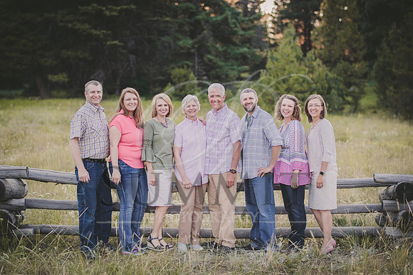 Holland Reunion July 2017-4.jpg