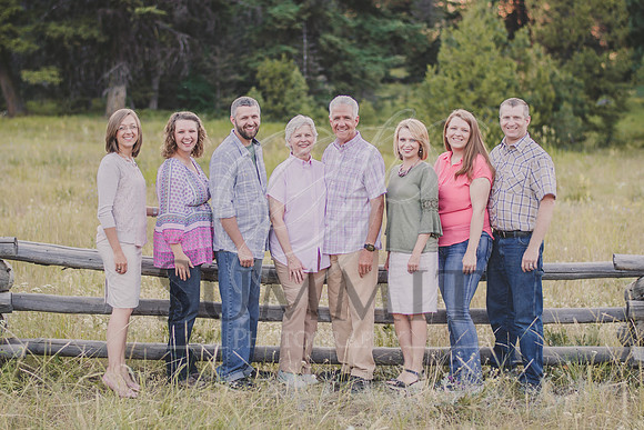 Holland Reunion July 2017-1.jpg