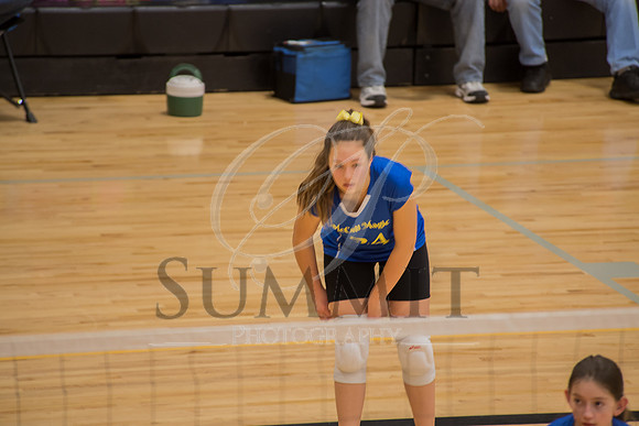 Feb_Mar_2017_Vball_Riley-19.jpg