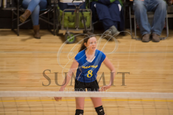 Feb_Mar_2017_Vball_Riley-25.jpg