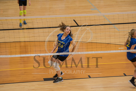 Feb_Mar_2017_Vball_Riley-31.jpg