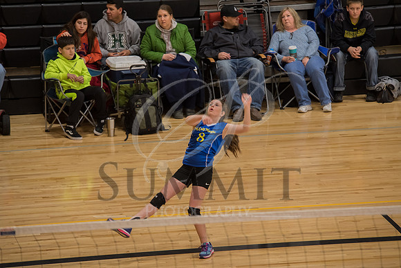 Feb_Mar_2017_Vball_Riley-65.jpg