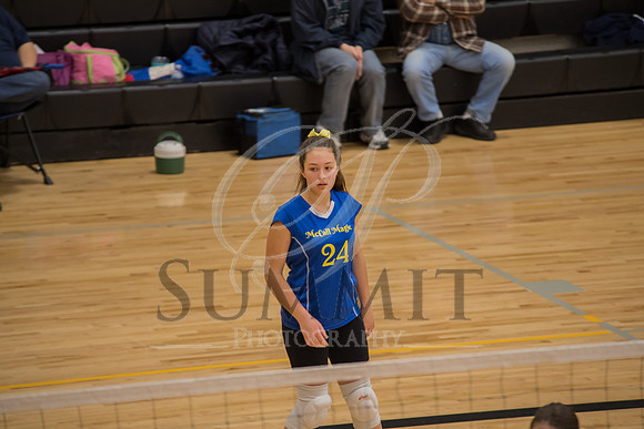 Feb_Mar_2017_Vball_Riley-84.jpg