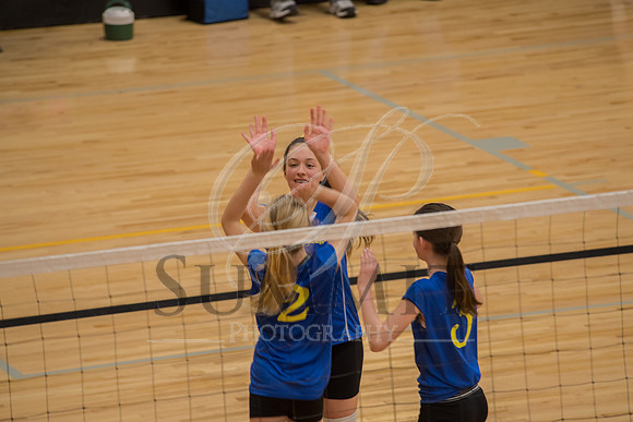 Feb_Mar_2017_Vball_Riley-88.jpg