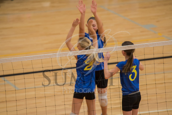Feb_Mar_2017_Vball_Riley-89.jpg