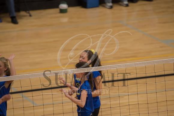 Feb_Mar_2017_Vball_Riley-92.jpg