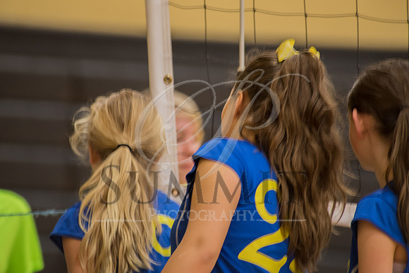Feb_Mar_2017_Vball_Riley-205.jpg