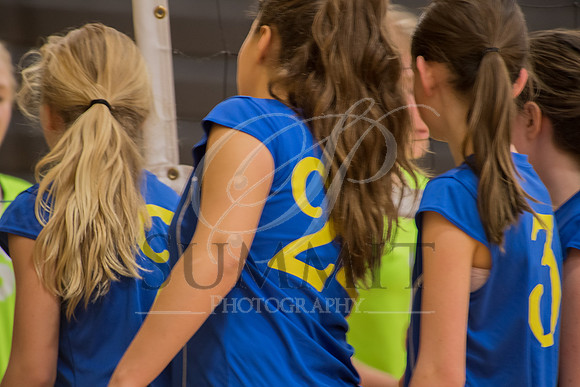 Feb_Mar_2017_Vball_Riley-206.jpg