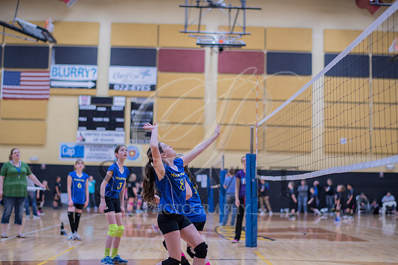 Feb_Mar_2017_Vball_Riley-253.jpg