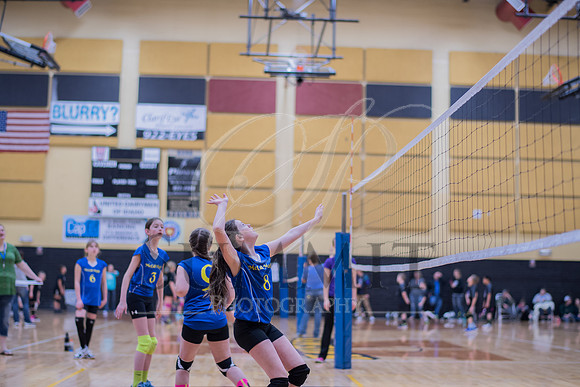 Feb_Mar_2017_Vball_Riley-254.jpg