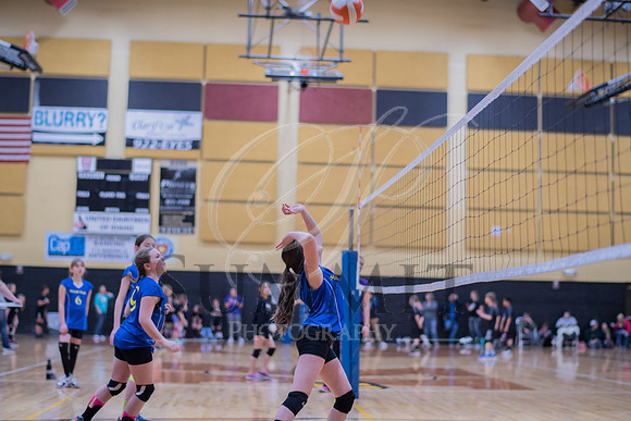 Feb_Mar_2017_Vball_Riley-256.jpg