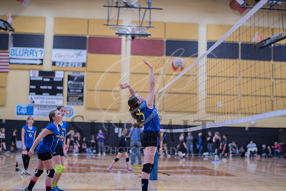 Feb_Mar_2017_Vball_Riley-257.jpg