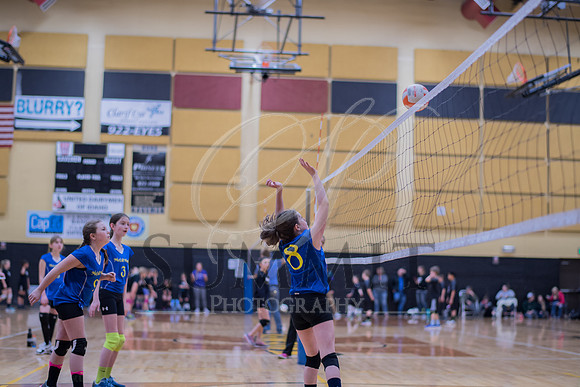Feb_Mar_2017_Vball_Riley-258.jpg
