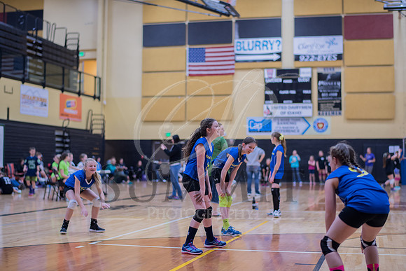 Feb_Mar_2017_Vball_Riley-261.jpg