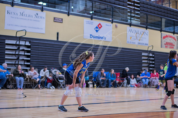 Feb_Mar_2017_Vball_Riley-262.jpg