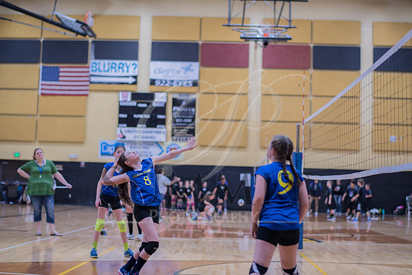 Feb_Mar_2017_Vball_Riley-266.jpg