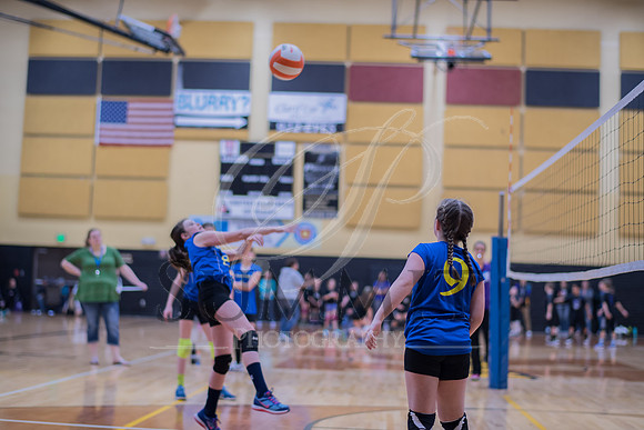 Feb_Mar_2017_Vball_Riley-268.jpg