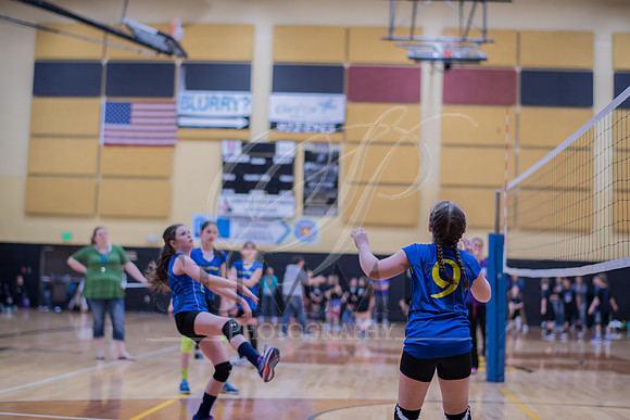 Feb_Mar_2017_Vball_Riley-269.jpg