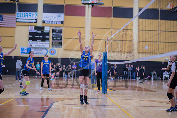 Feb_Mar_2017_Vball_Riley-275.jpg