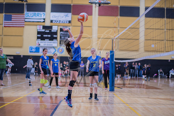 Feb_Mar_2017_Vball_Riley-276.jpg
