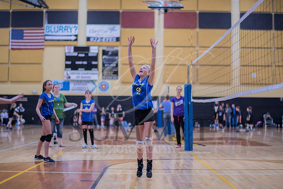 Feb_Mar_2017_Vball_Riley-279.jpg