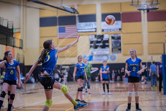 Feb_Mar_2017_Vball_Riley-281.jpg
