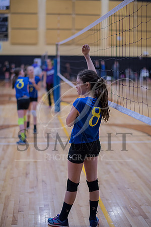 Feb_Mar_2017_Vball_Riley-293.jpg