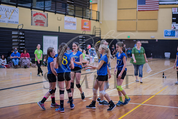 Feb_Mar_2017_Vball_Riley-295.jpg