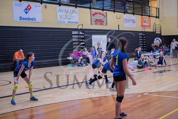 Feb_Mar_2017_Vball_Riley-311.jpg