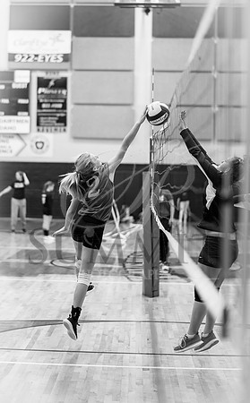 Feb_Mar_2017_Vball_Riley-350.jpg