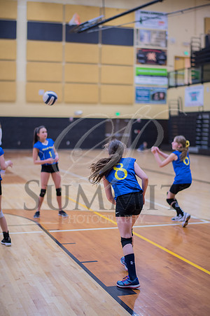 Feb_Mar_2017_Vball_Riley-373.jpg
