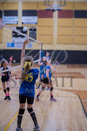 Feb_Mar_2017_Vball_Riley-388.jpg