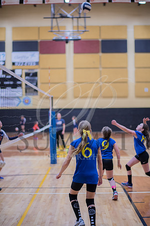 Feb_Mar_2017_Vball_Riley-396.jpg