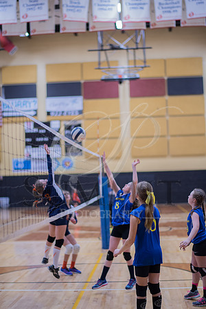 Feb_Mar_2017_Vball_Riley-398.jpg