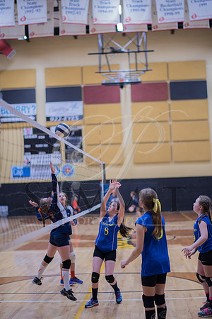 Feb_Mar_2017_Vball_Riley-399.jpg