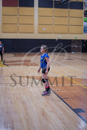 Feb_Mar_2017_Vball_Riley-403.jpg