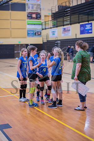 Feb_Mar_2017_Vball_Riley-413.jpg
