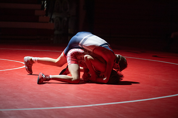 MDHS Wrestling vs Homedale 1.19.24-7.jpg