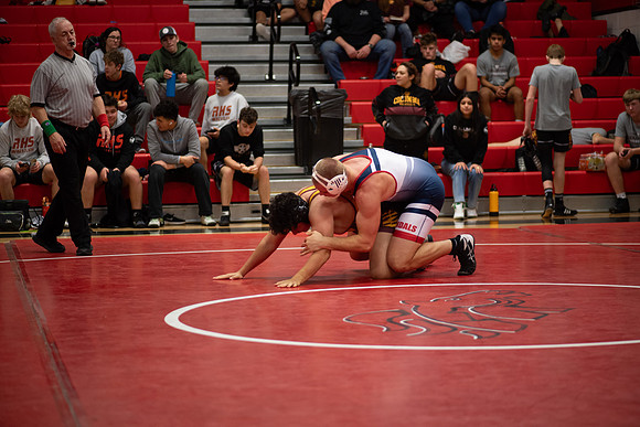 MDHS Wrestling @ Melba Tournament 1.20.24-47.jpg